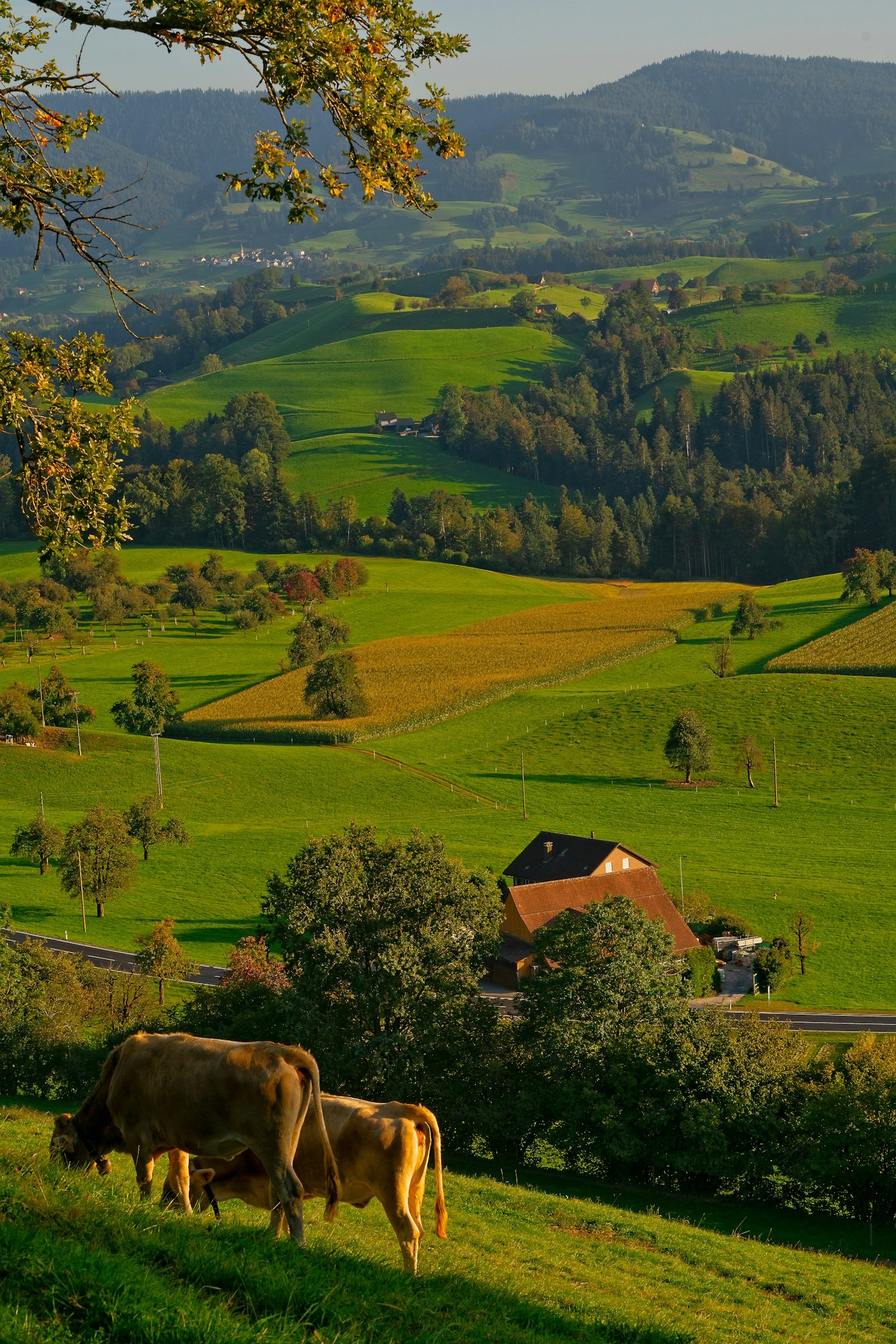 O futuro da rentabilidade na agricultura moderna