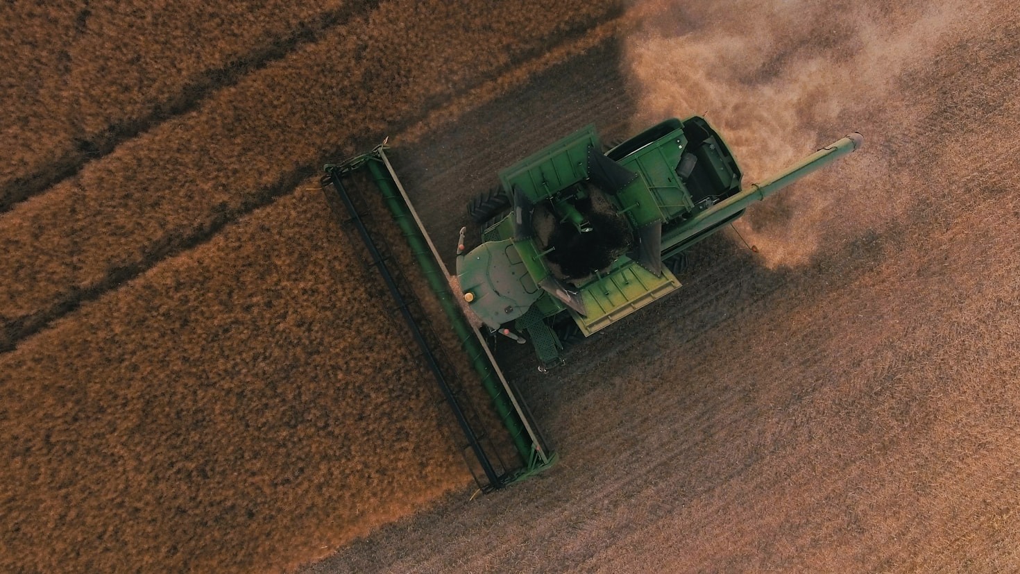 Desafios e oportunidades no agronegócio atual